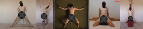 View Institution X (institutionx) OnlyFans 3 Photos and 85 Videos leaked 

 picture 2