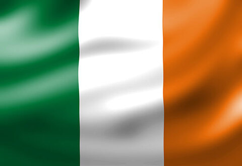 irishteencouplexxx (IrishTeenCoupleXXX) OnlyFans Leaks 

 picture 2
