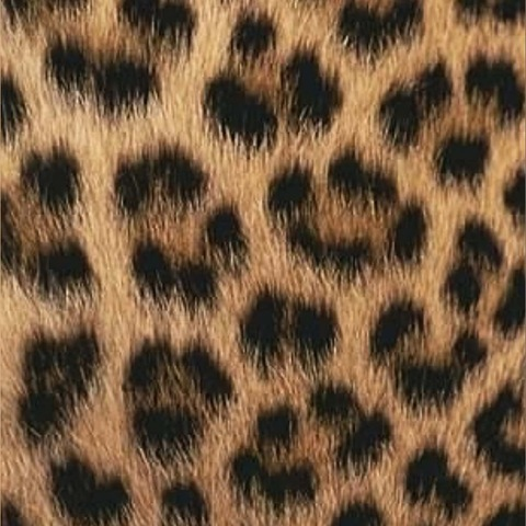 isabelhind leaked gallery photo 2