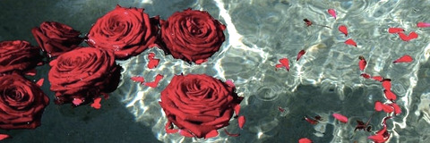 itsnot_rose OnlyFans Leaked Photos and Videos 

 picture 2