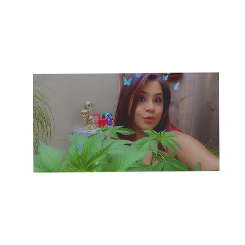 @ivykushbaby leaked Onlyfans content for free 

 picture 2