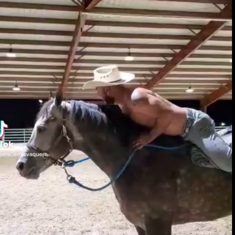 View jalisciensevaquero OnlyFans content for free 

 picture 2