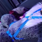 Free access to @jaro-wolf-fox-ad Leak OnlyFans 

 picture 1
