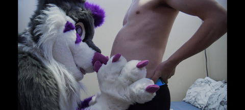Free access to @jaro-wolf-fox-ad Leak OnlyFans 

 picture 2