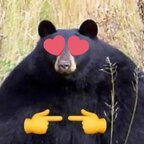 jawbreakerbear OnlyFans Leaked Photos and Videos 

 picture 1