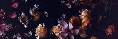 jaybee leaked gallery photo 2