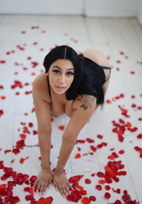 Onlyfans leak jewelthejem 

 picture 2