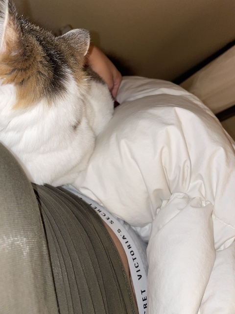 jordyyxo OnlyFans Leaks (4 Photos and 2 Videos) 

 picture 2