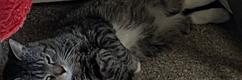 jos41yn OnlyFans Leaked (0 Photos and 0 Videos) 

 picture 2