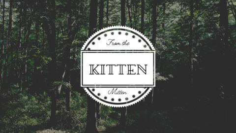 View Kitten (juliebb89) OnlyFans 0 Photos and 0 Videos leaked 

 picture 2