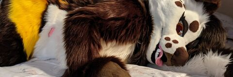 View jurassthiccbark OnlyFans content for free 

 picture 2