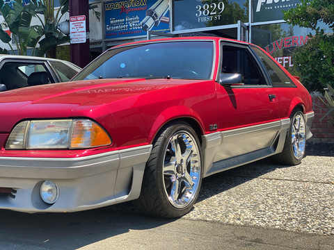 justmustangtingz OnlyFans Leak 

 picture 2