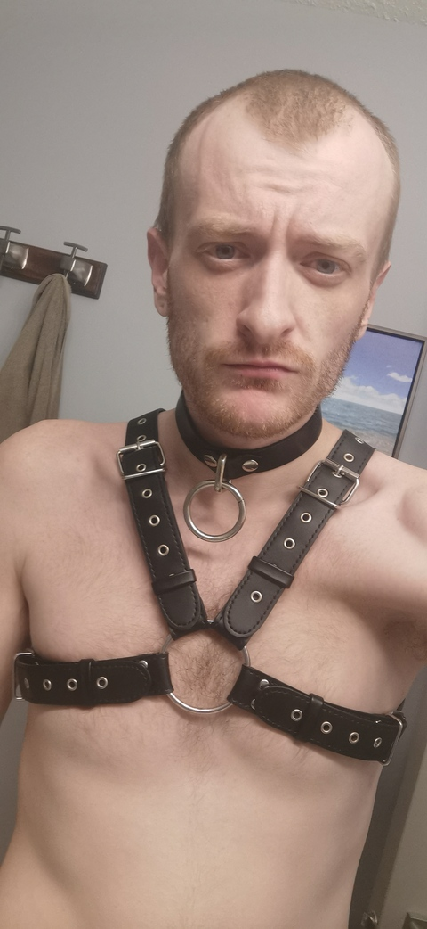 karratgold OnlyFans Leak (24 Photos and 75 Videos) 

 picture 2