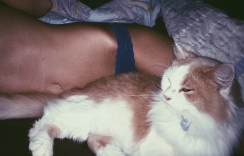 katqueenkittymean OnlyFans Leaks 

 picture 2
