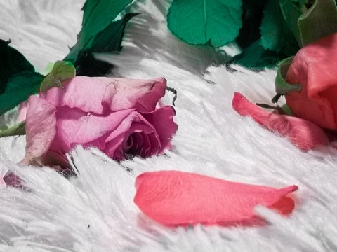 kimsangri (KimSangRi) OnlyFans Leaked Videos and Pictures 

 picture 2