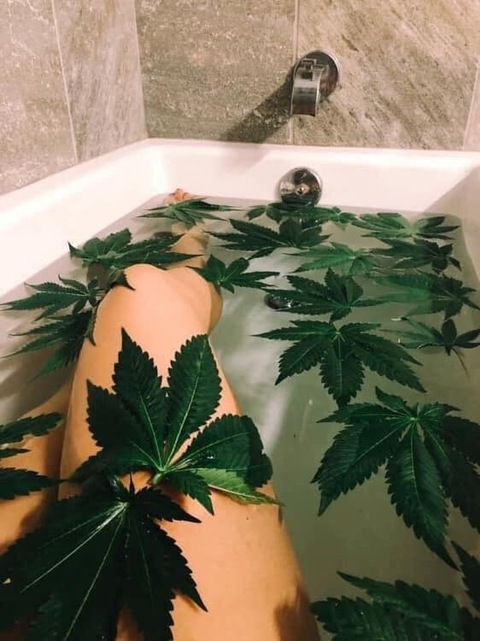 kissyb33 (KissyB33) free OnlyFans Leaked Content 

 picture 2