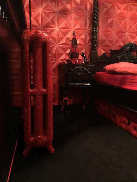 kittenplayandmore (Red Room =^..^=) free OnlyFans content 

 picture 2