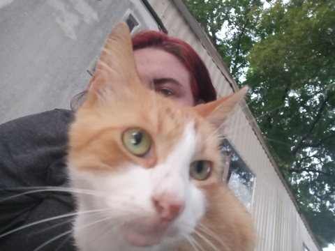 Onlyfans leaks kittiekitten 

 picture 2