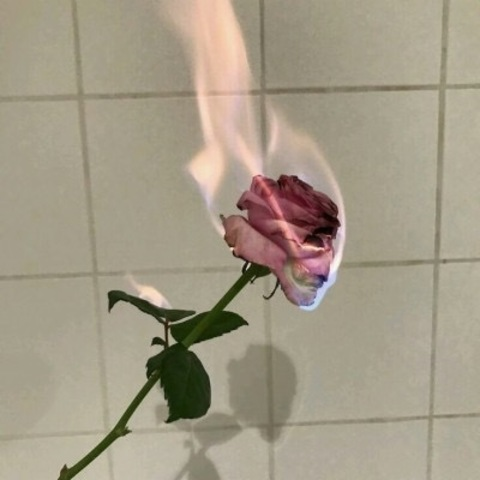 kitty_play123 OnlyFans Leaked (163 Photos and 28 Videos) 

 picture 2