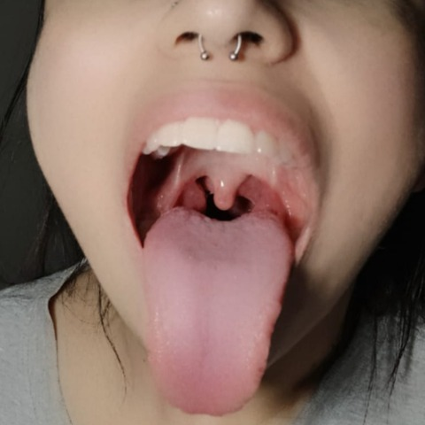 kittytongesss (😻Kitty😻) OnlyFans Leaked Content 

 picture 2