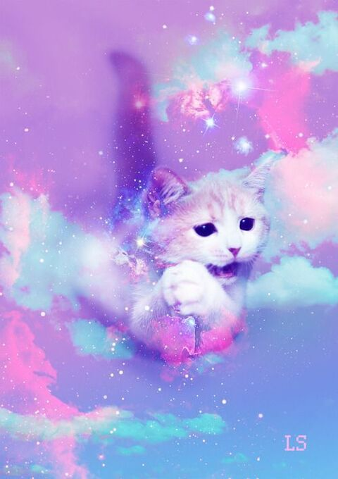 kittyxcocaine OnlyFans Leaks 

 picture 2
