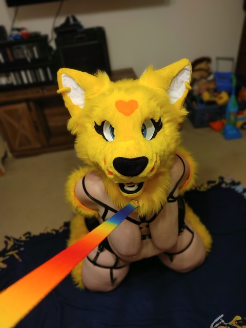 View koicat OnlyFans content for free 

 picture 2