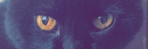 kotiitaaylor (Koti) OnlyFans content 

 picture 2