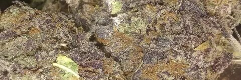 kyliekottonmouth (Kylie Kottonmouth) OnlyFans Leaked Videos and Pictures 

 picture 2