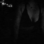 laniexo (lanie) free OnlyFans Leaks 

 picture 1