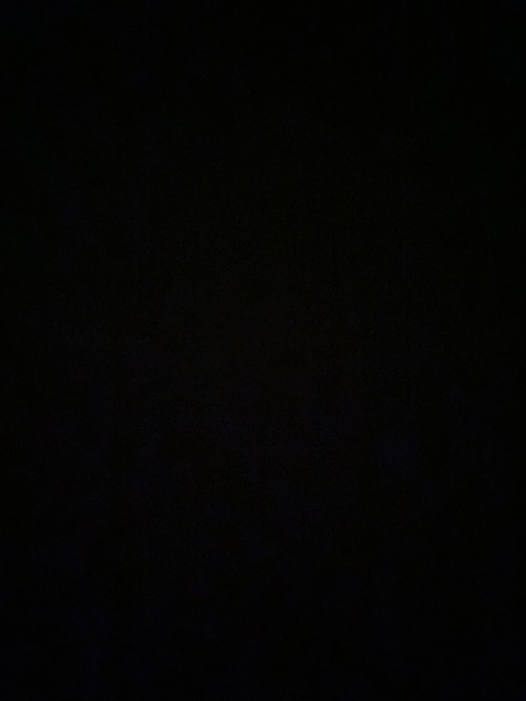 laurennicole (Lauren Nicole) OnlyFans content 

 picture 2