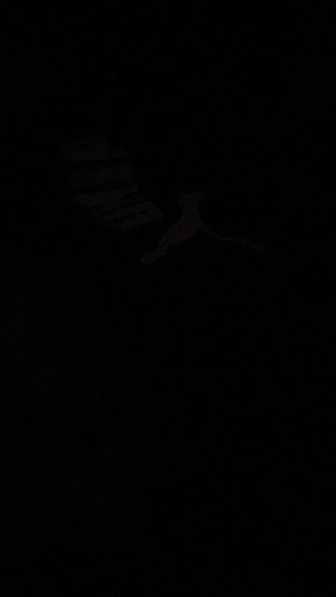 Onlyfans leaks leahann 

 picture 2
