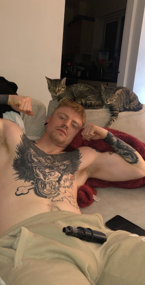 Download leeom OnlyFans videos and photos free 

 picture 2