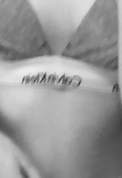 View lenaskyy (LénaSky) OnlyFans 7 Photos and 0 Videos gallery 

 picture 2