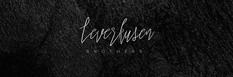 leverkusenbros OnlyFans Leak (21 Photos and 23 Videos) 

 picture 2