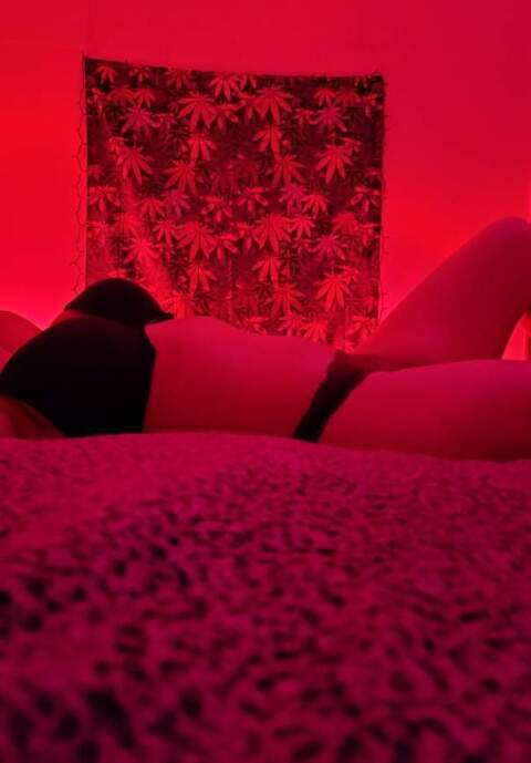 lexiknox9 OnlyFans Leaked 

 picture 2