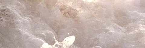 librafemmeof OnlyFans Leak 

 picture 2