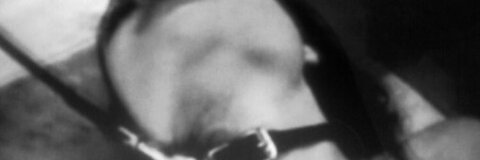 lila_lone OnlyFans Leaked 

 picture 2