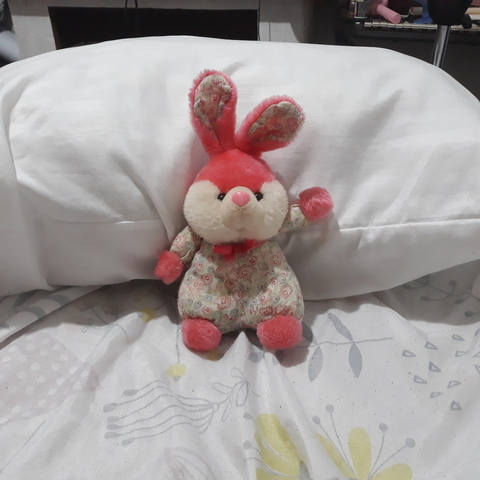 lilbunnyofficial OnlyFans Leaks 

 picture 2