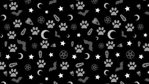 littlegothpup (Taylor) free OnlyFans content 

 picture 2