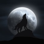 littlemoonwolf OnlyFans Leak (99 Photos and 30 Videos) 

 picture 1