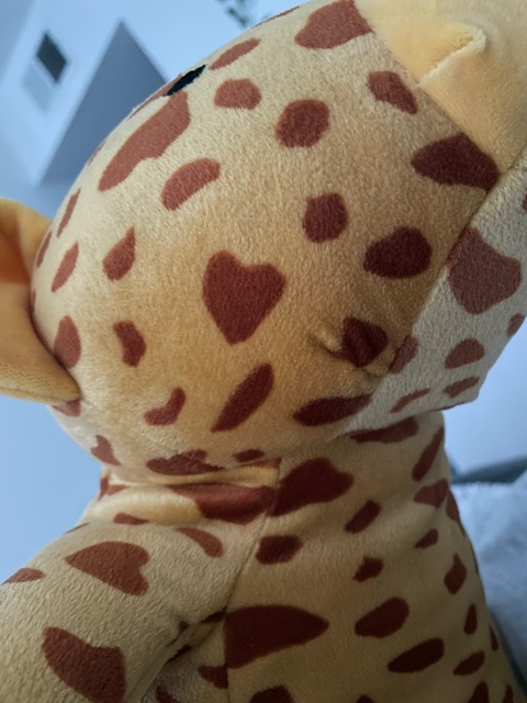 View littlespicyitalianafree OnlyFans content for free 

 picture 2
