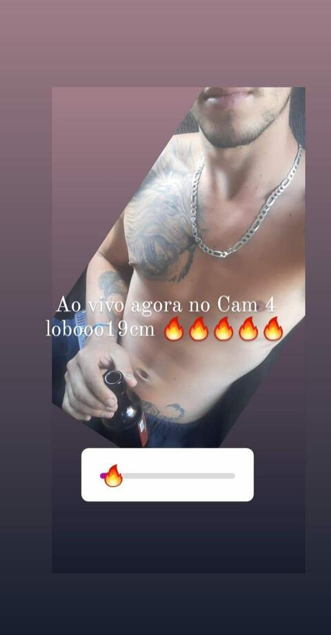 lobooo19cm OnlyFans Leaks 

 picture 2