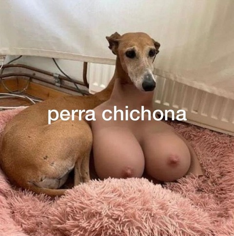 View localchurro OnlyFans content for free 

 picture 2