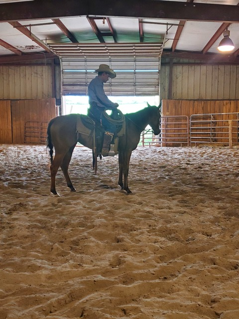 View longlivecowboys OnlyFans videos and photos for free 

 picture 2