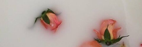 lotusdaphne OnlyFans Leak 

 picture 2