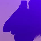 View lovelyvenuskp (Venus) OnlyFans 6 Photos and 6 Videos leaks 

 picture 1