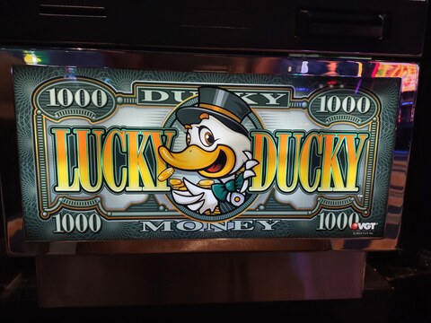 luckyducky222 (Lucky Ducky 🌹VIP🦆) free OnlyFans Leaked Content 

 picture 2