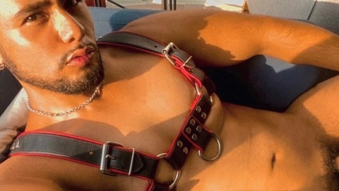 Download luisolis OnlyFans videos and photos for free 

 picture 2