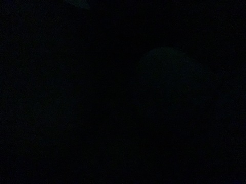 View lulbenzie_ (LulBenzie Freepage) OnlyFans 6 Photos and 4 Videos gallery 

 picture 2