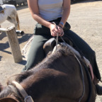 Download manicpixiecowgirl OnlyFans content free 

 picture 1
